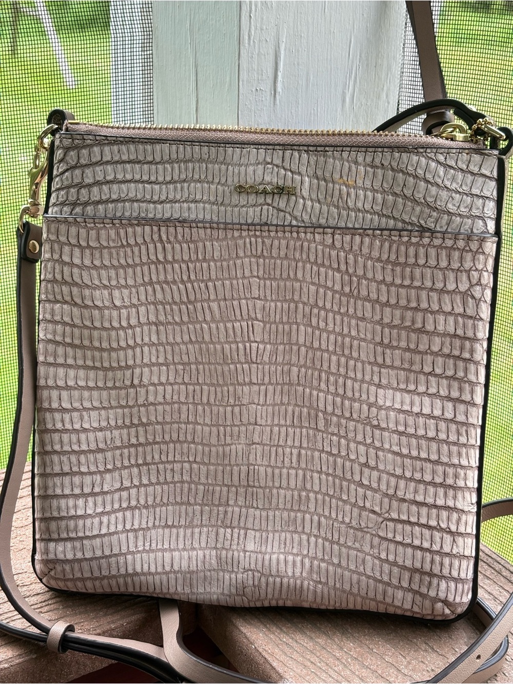 Coach Metallic Taupe Croc-Embossed Crossbody Bag with Gold Hardware